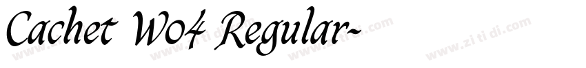Cachet W04 Regular字体转换